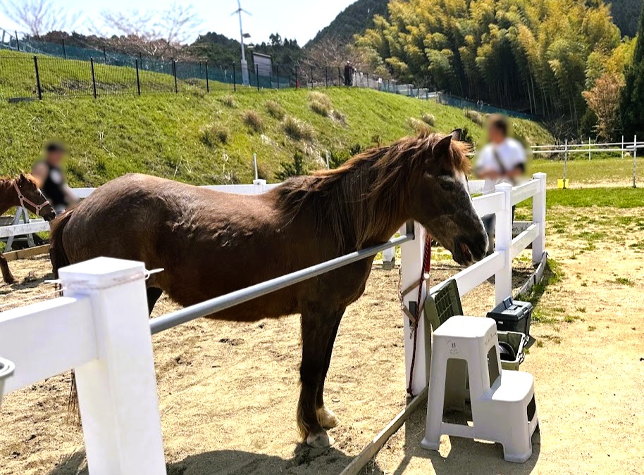 養老牧場 NPO法人 アヴニールファーム