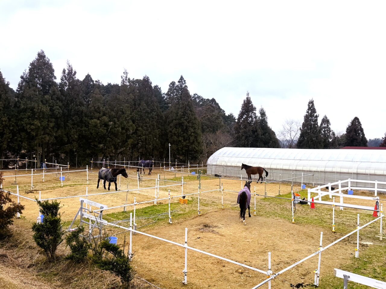 アヴニールファーム