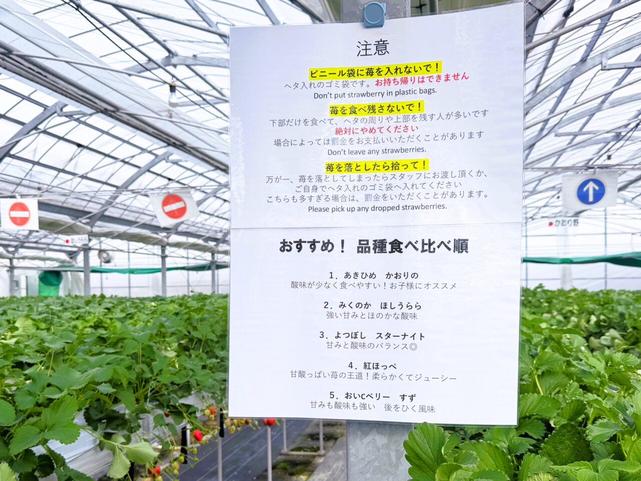 おすすめ品種　食べ比べ順