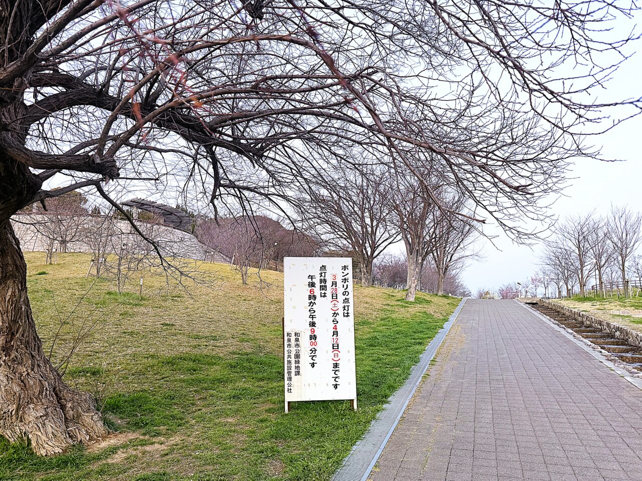 黒鳥山公園ぼんぼり点灯