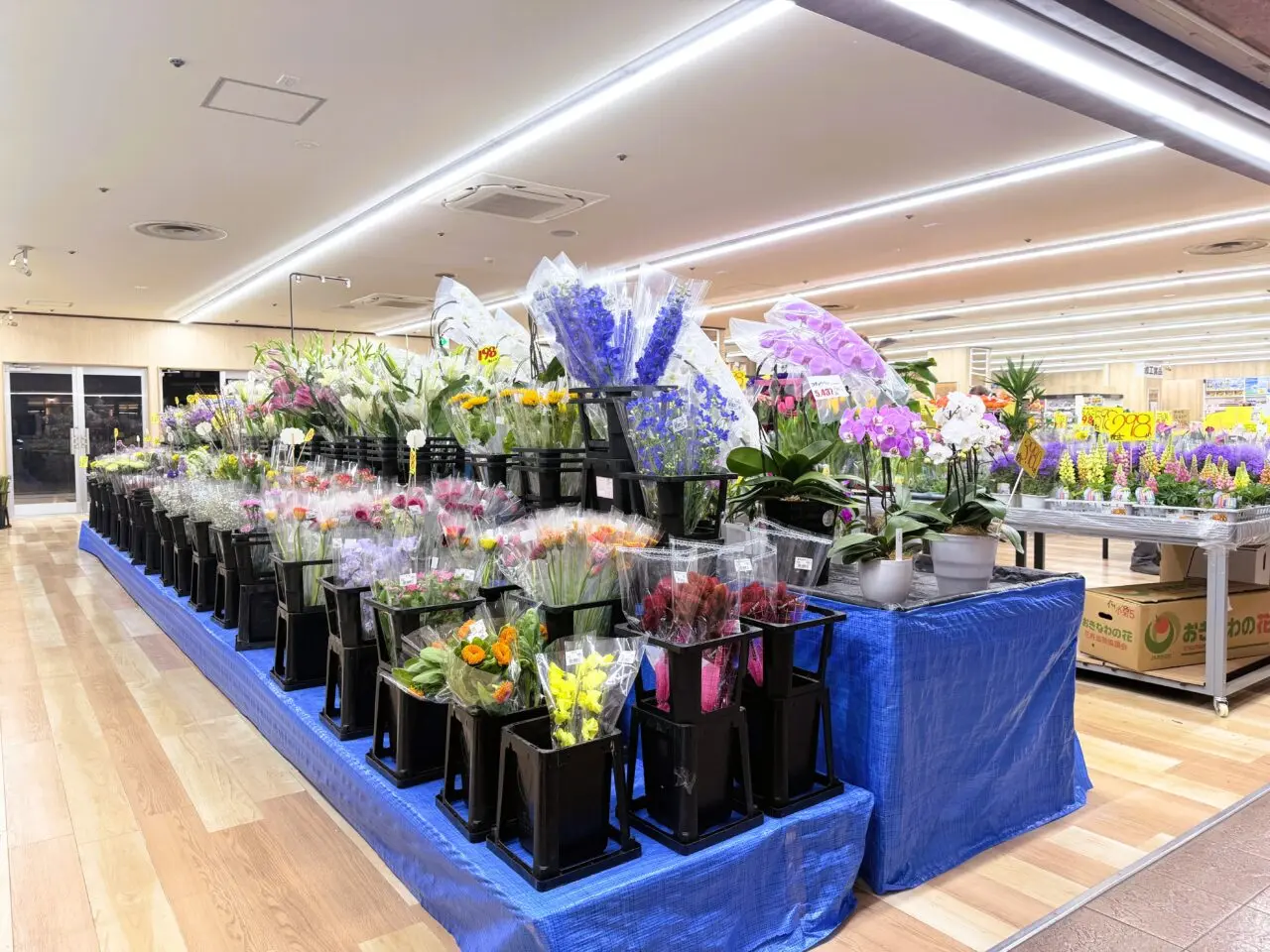 国華園光明池のお花