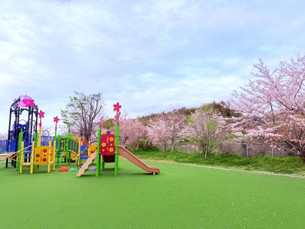 道の駅 いずみ山愛の里の桜
