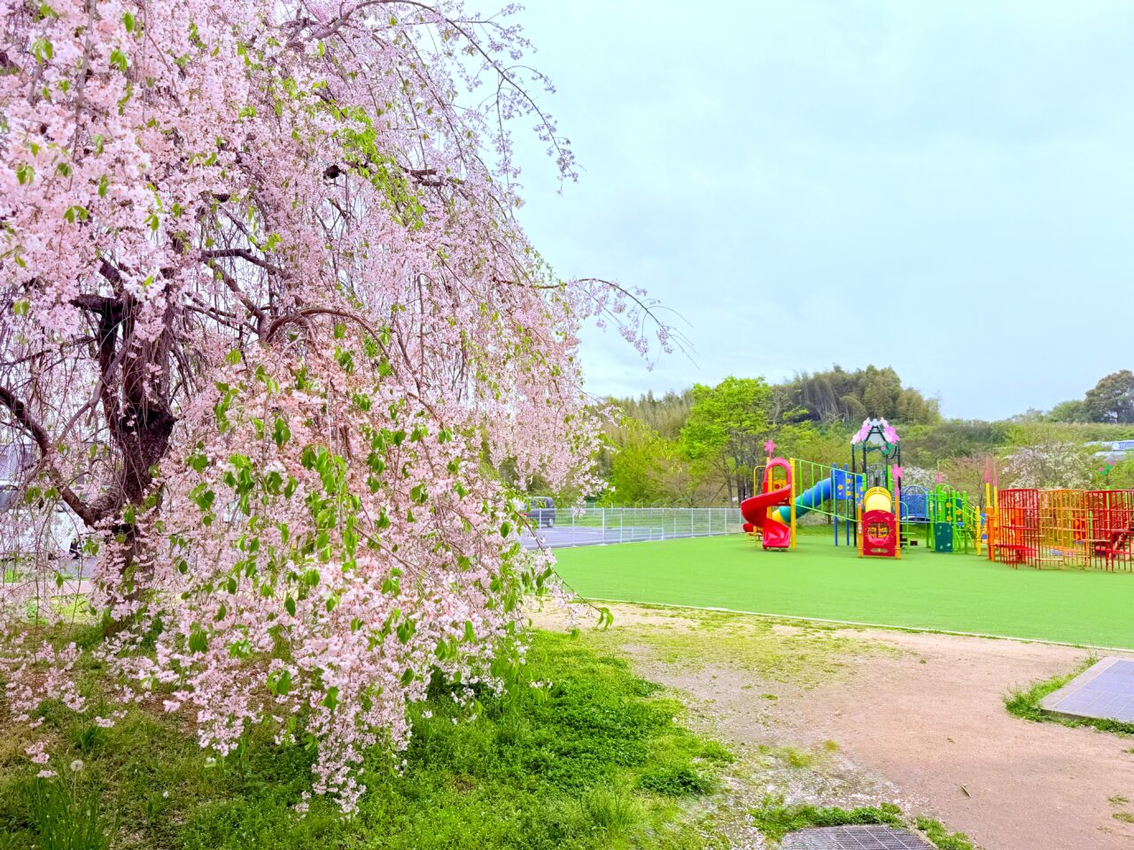 春の味覚祭 道の駅 しだれ桜