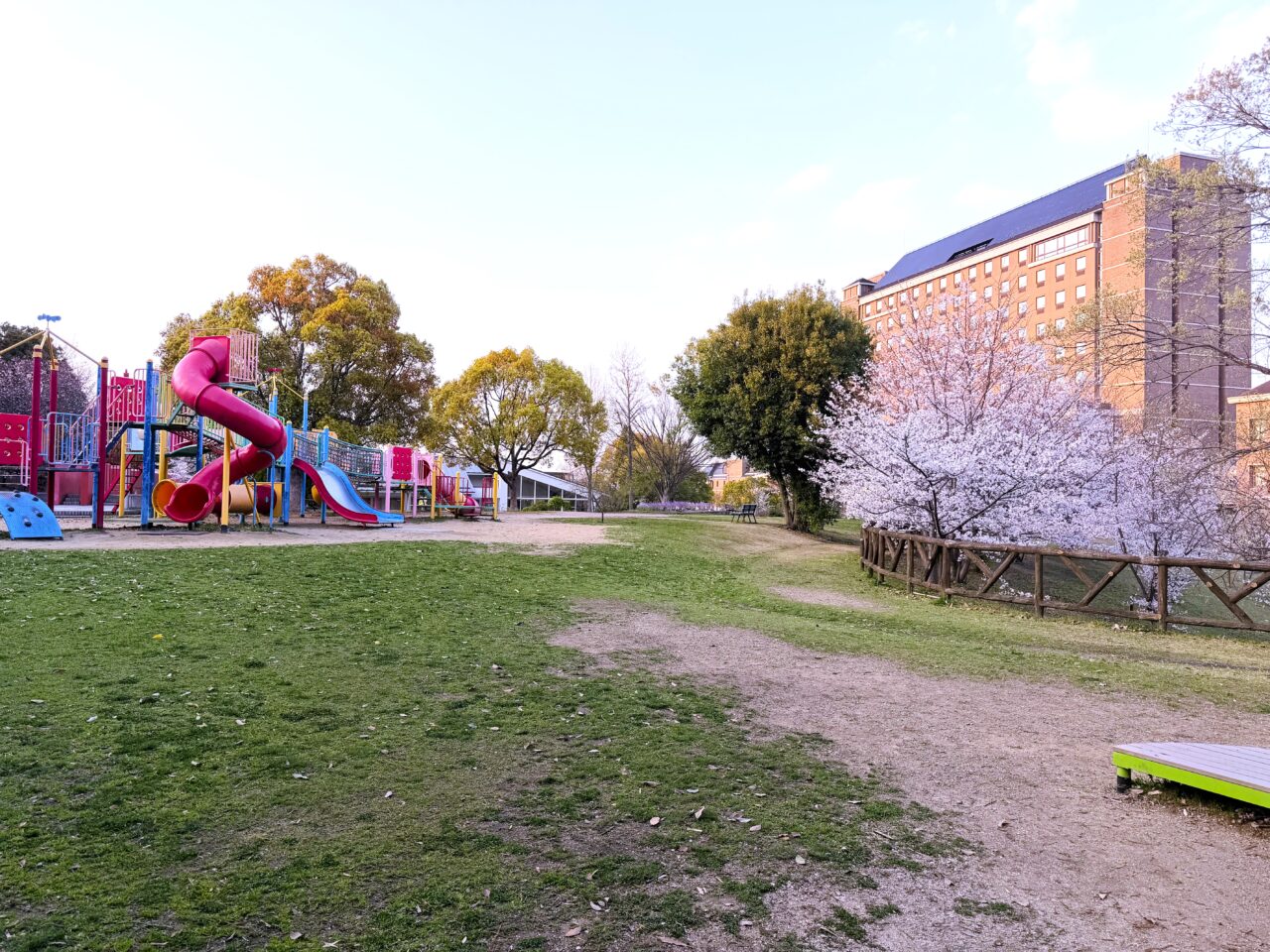 宮ノ上公園桜満開