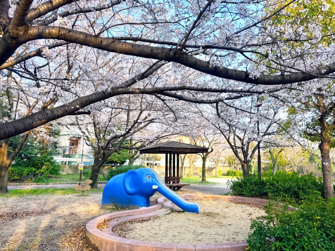 ぞうさん公園（はつがの１号公園）