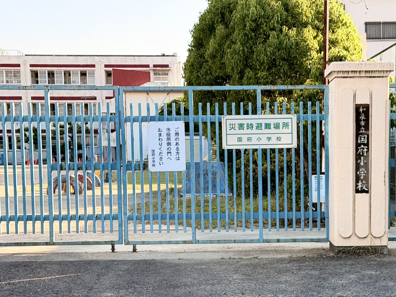 和泉市立国府小学校