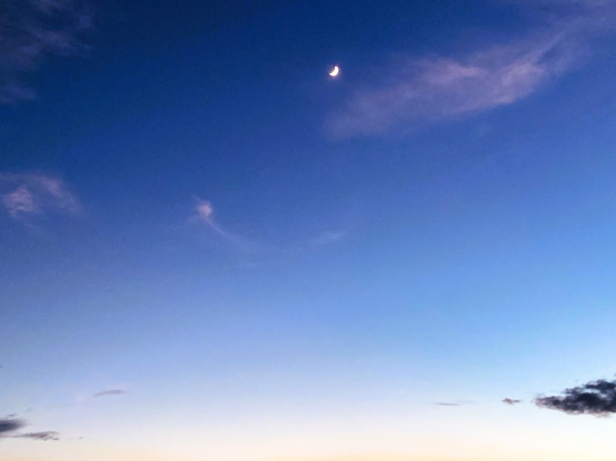夏の夜の月
