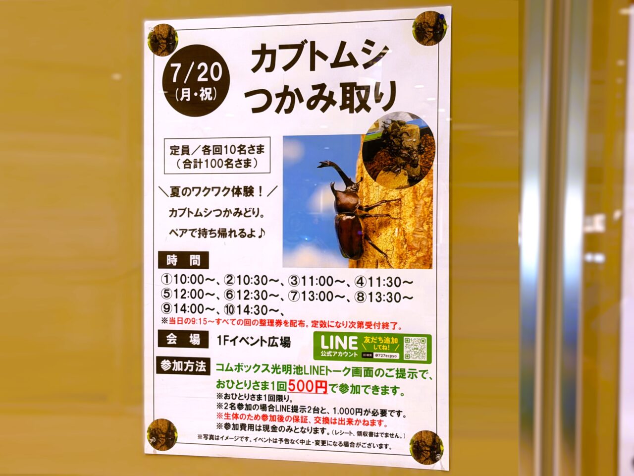 カブトムシつかみどり2026
