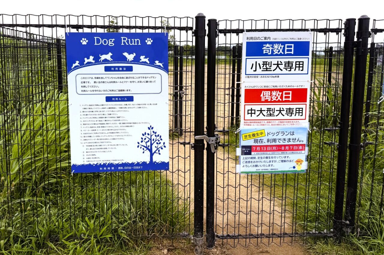 黒鳥山公園のドッグラン