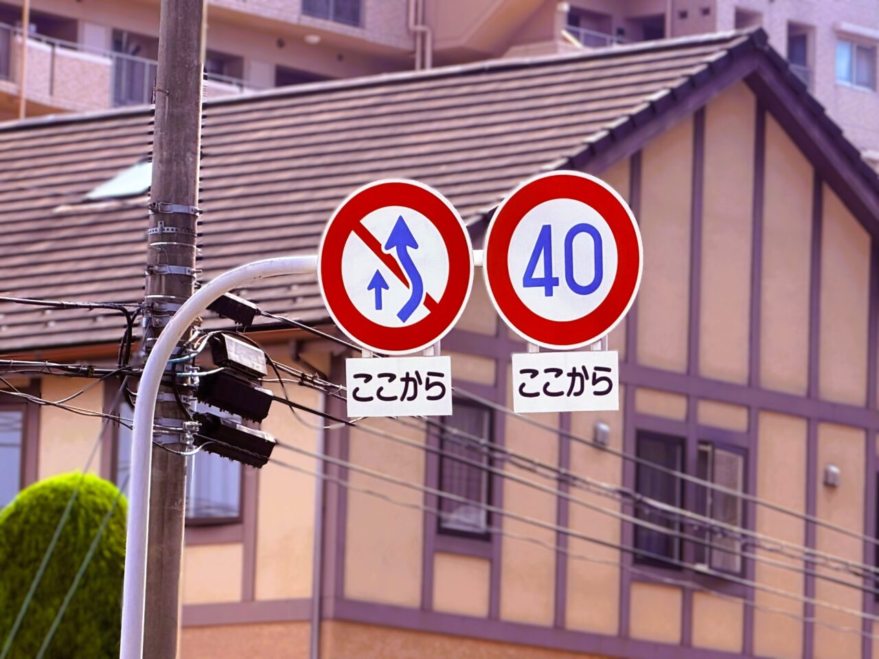 法定速度40km/h