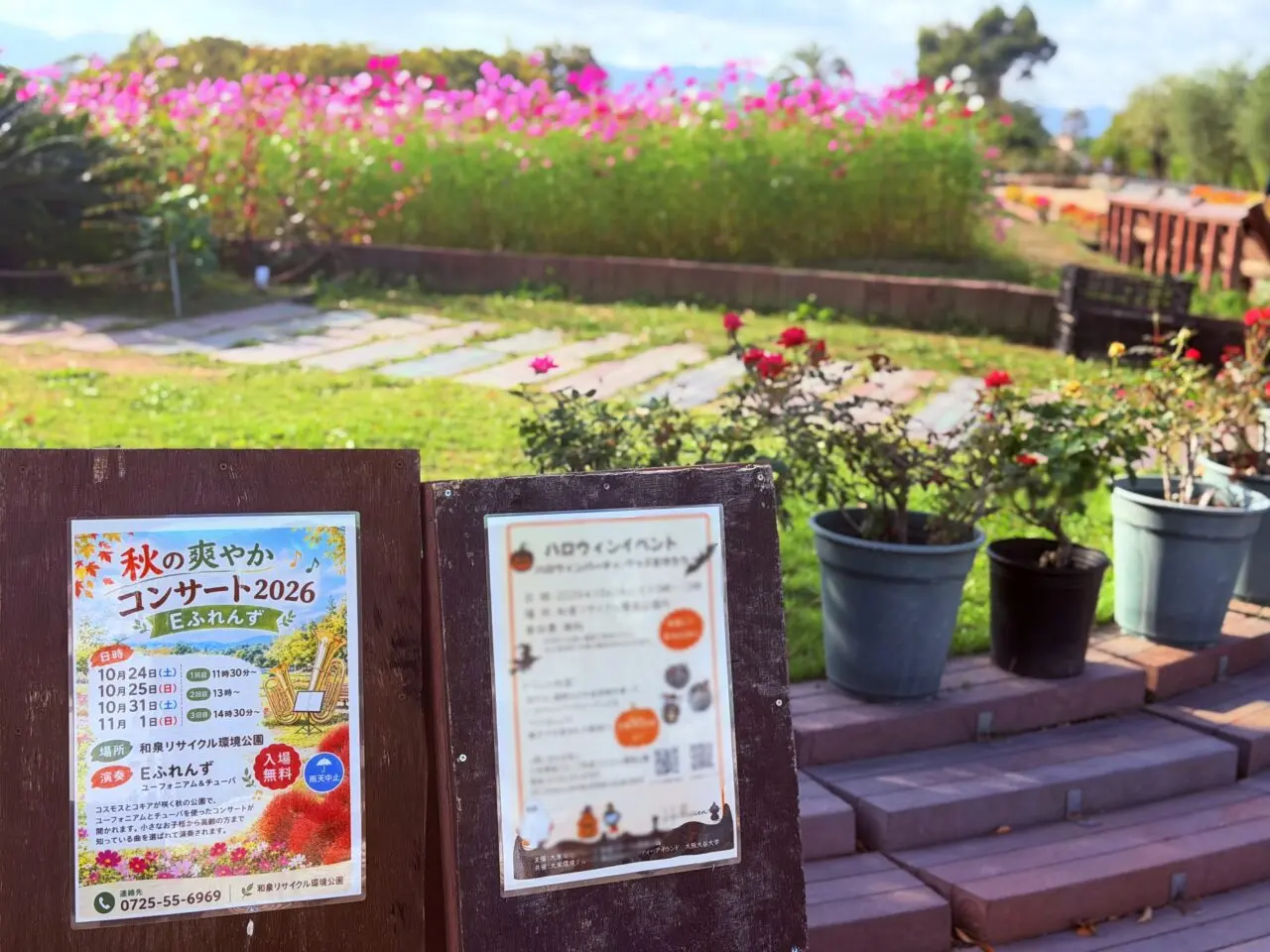 秋の爽やかコンサート(和泉リサイクル環境公園)